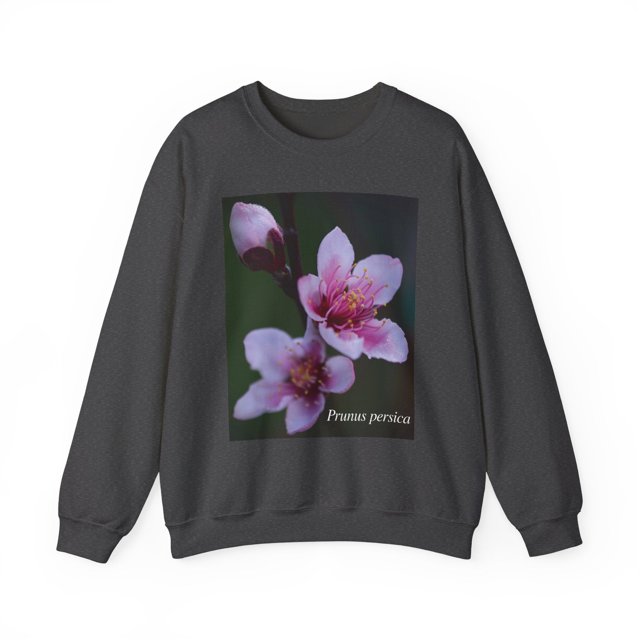 Persica Bloom — Quiet Resilience- Unisex Heavy Blend™ Crewneck Sweatshirt