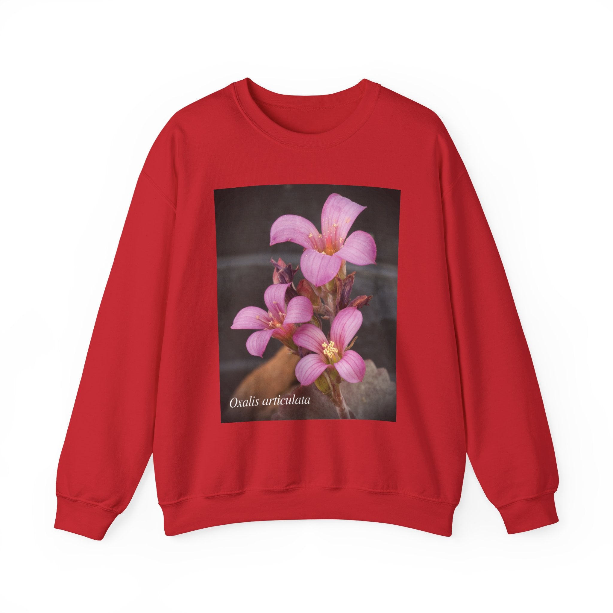 Oxalis — The Survivor Blossom, Strenght in Unity Unisex Heavy Blend™ Crewneck Sweatshirt