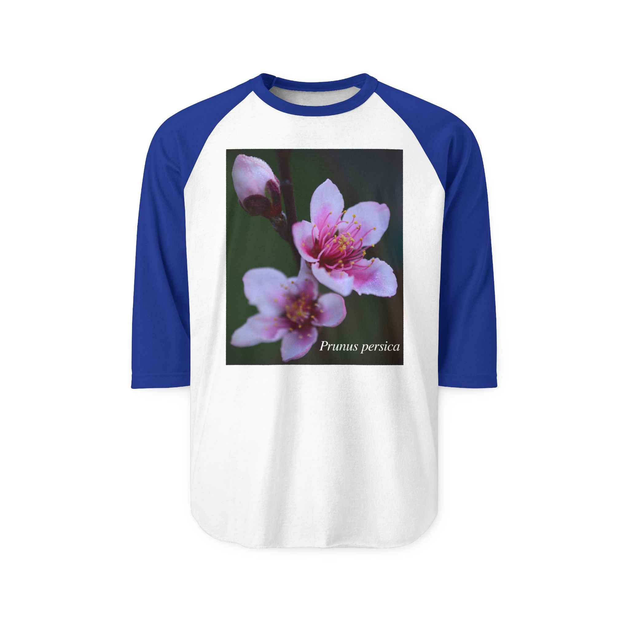 Persica Bloom — Quiet Resilience-Raglan 3/4 sleeves