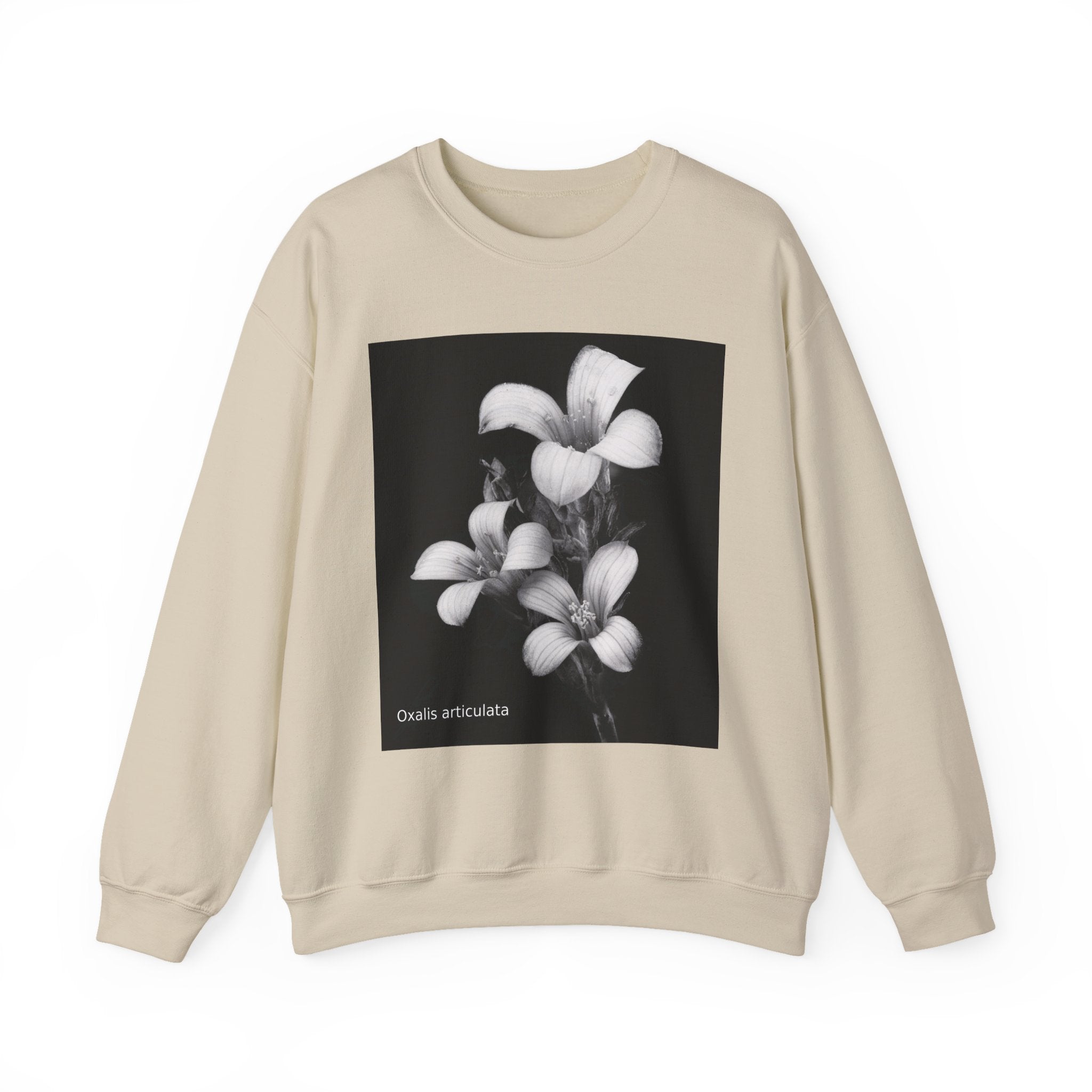Oxalis — The Survivor Blossom, Strenght in Unity Unisex Heavy Blend™ Crewneck Sweatshirt
