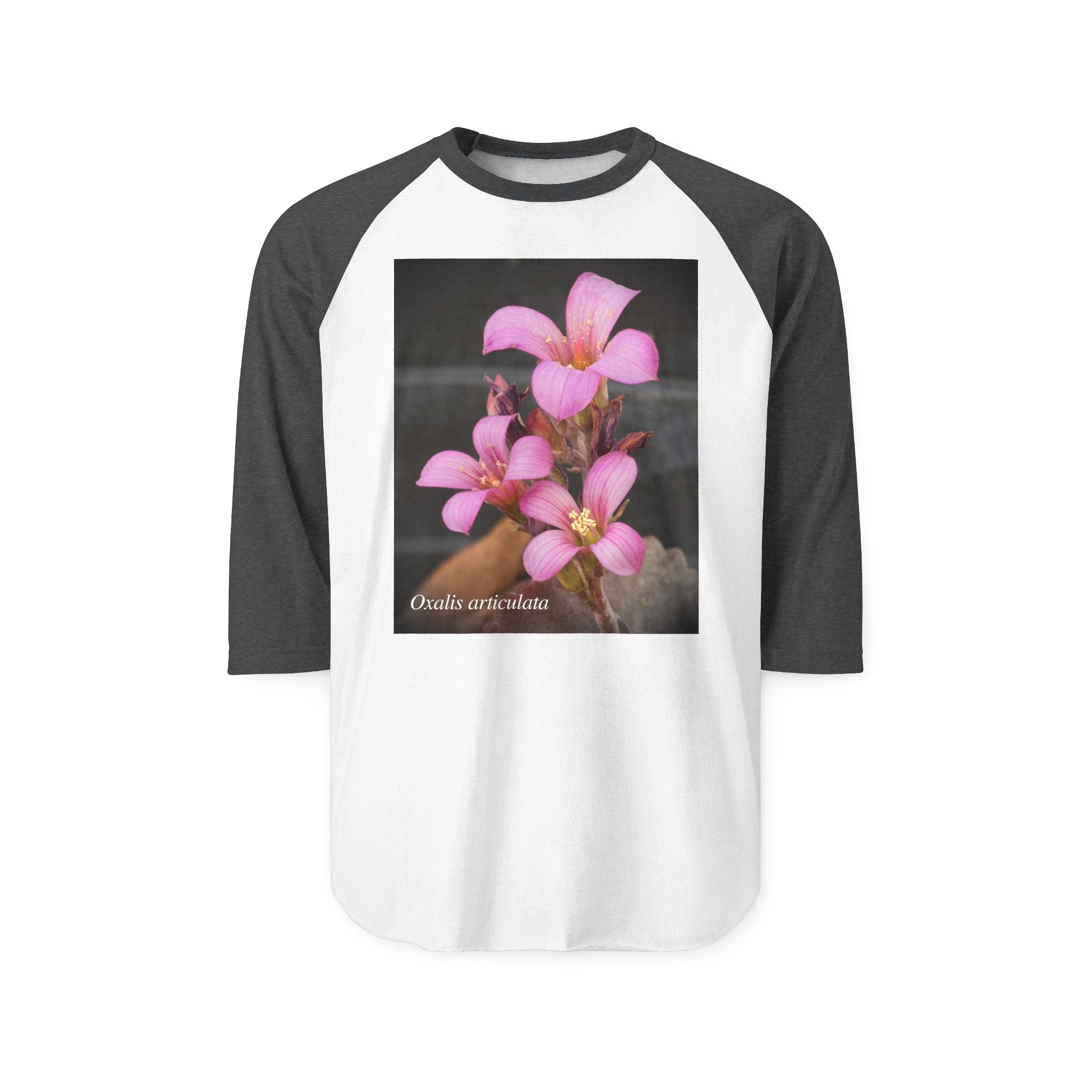 Oxalis — The Survivor Blossom-Raglan 3/4 sleeves