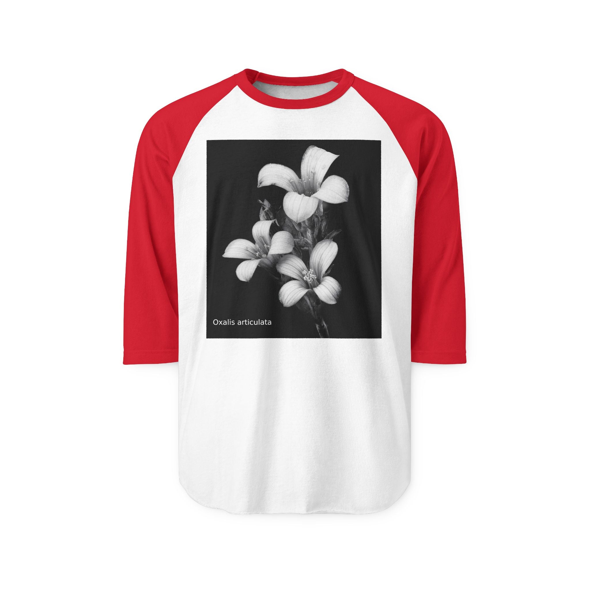 Oxalis — The Survivor Blossom-Raglan 3/4 sleeves