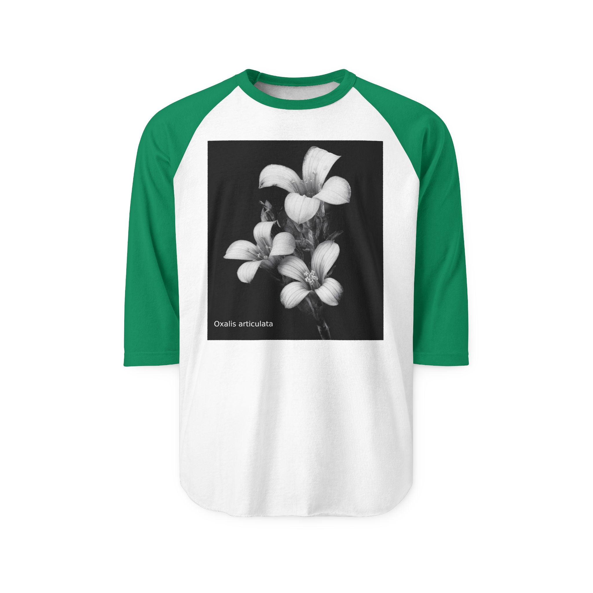 Oxalis — The Survivor Blossom-Raglan 3/4 sleeves