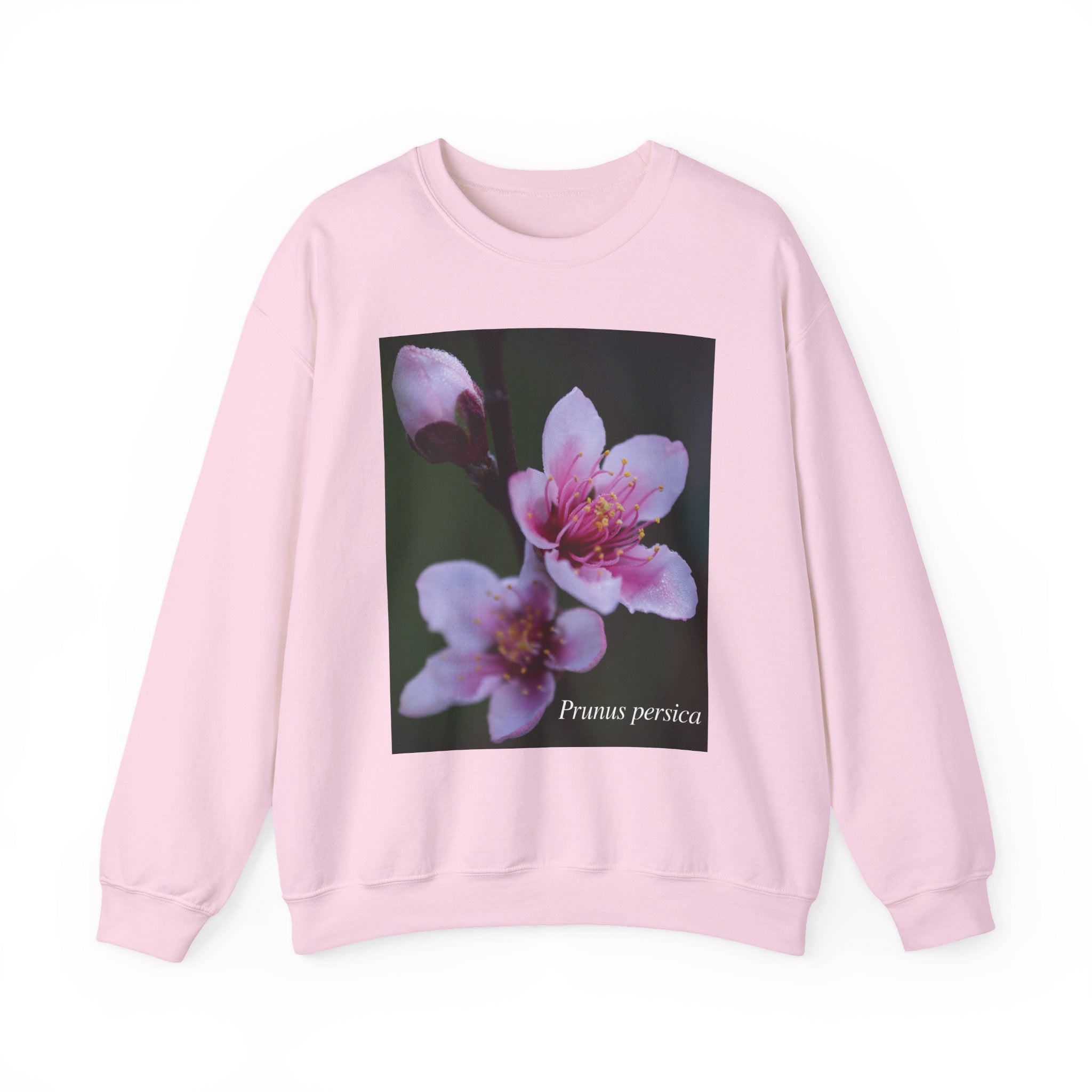 Persica Bloom — Quiet Resilience- Unisex Heavy Blend™ Crewneck Sweatshirt