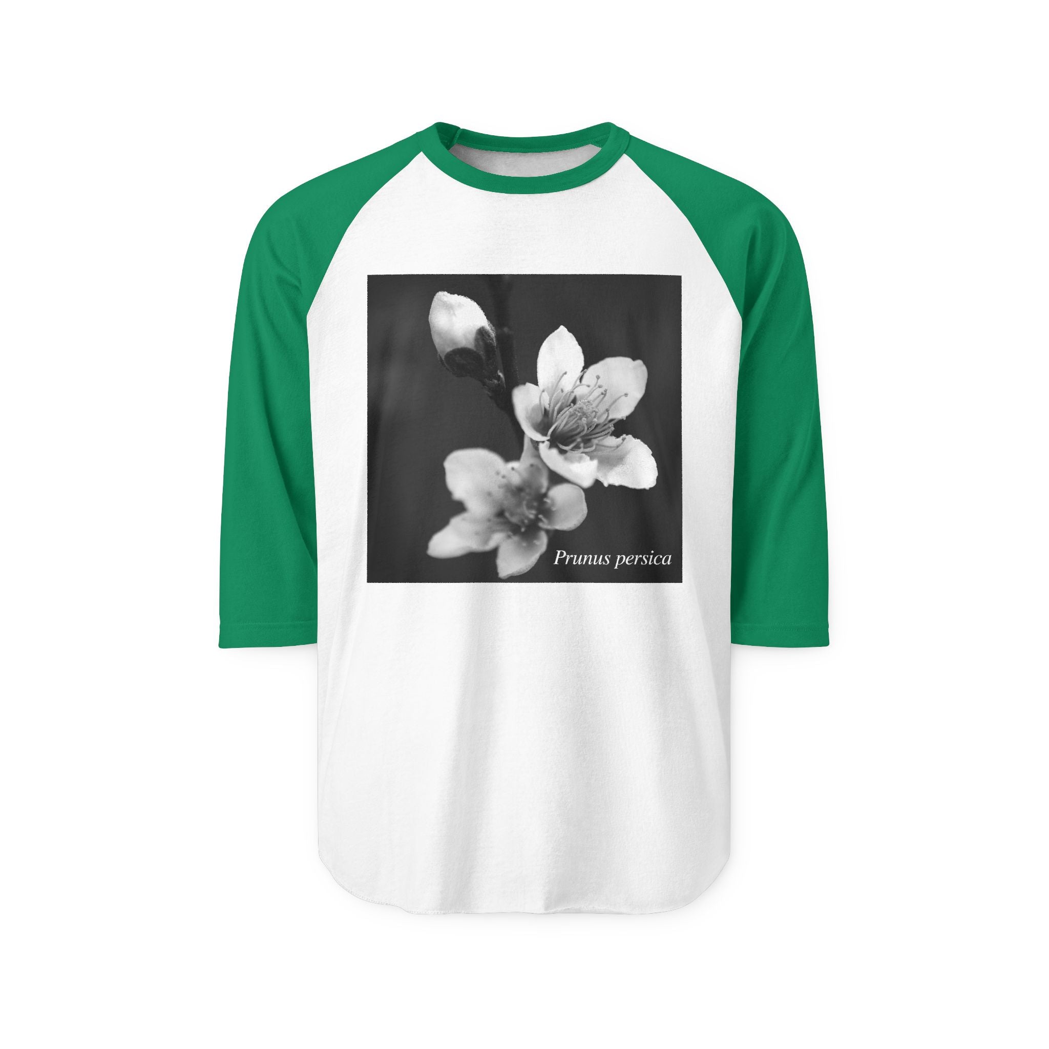 Persica Bloom — Quiet Resilience-Raglan 3/4 sleeves