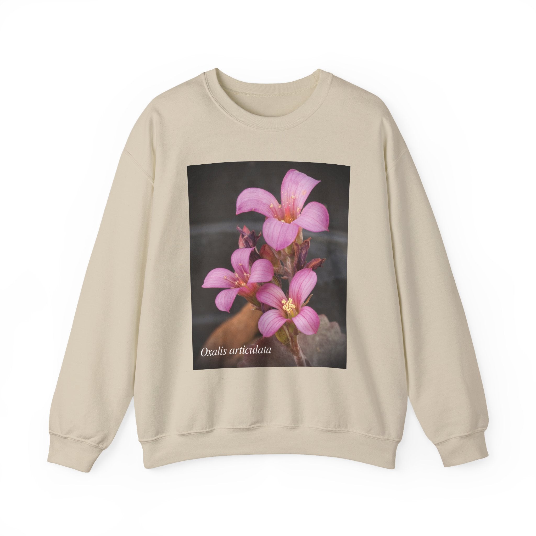 Oxalis — The Survivor Blossom, Strenght in Unity Unisex Heavy Blend™ Crewneck Sweatshirt