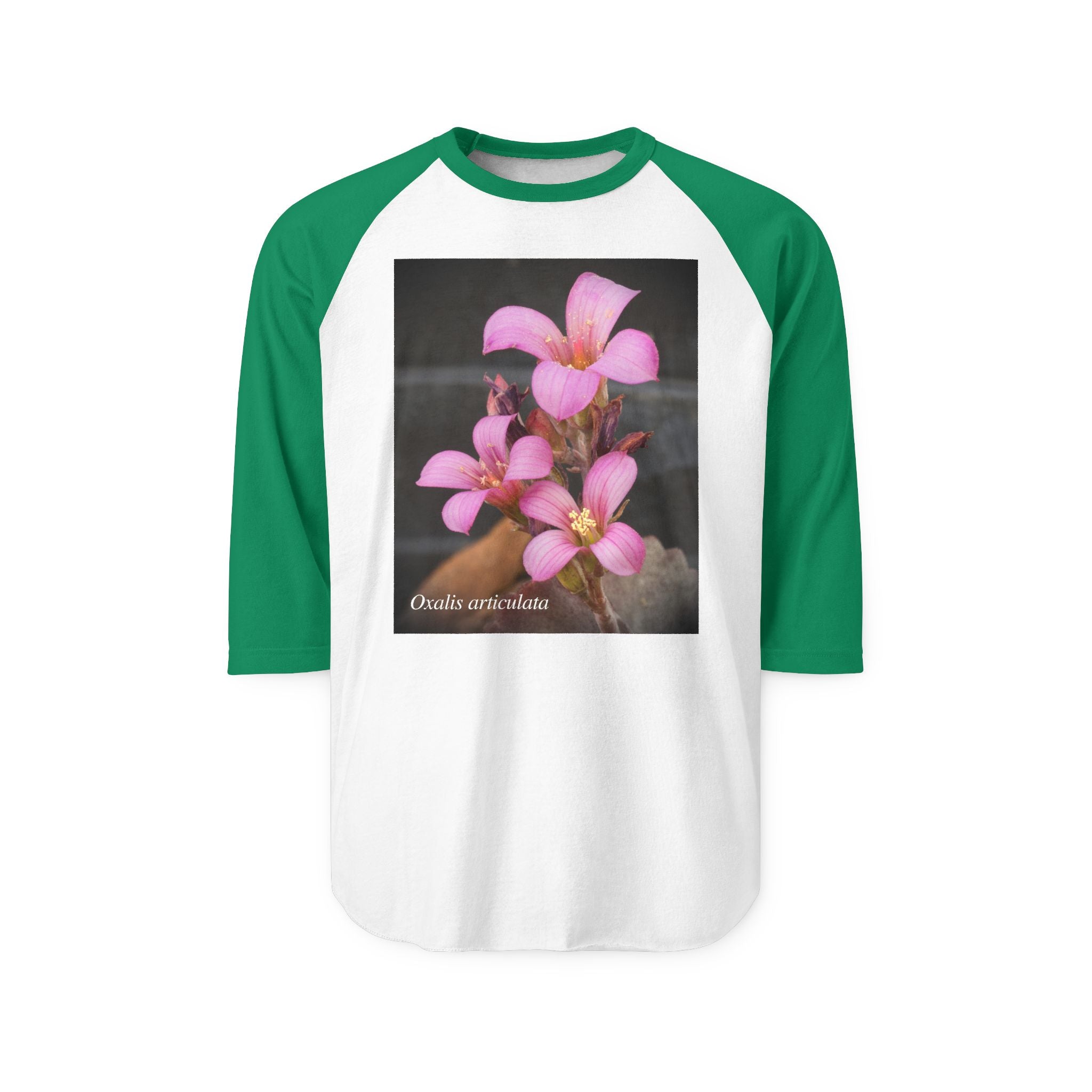 Oxalis — The Survivor Blossom-Raglan 3/4 sleeves
