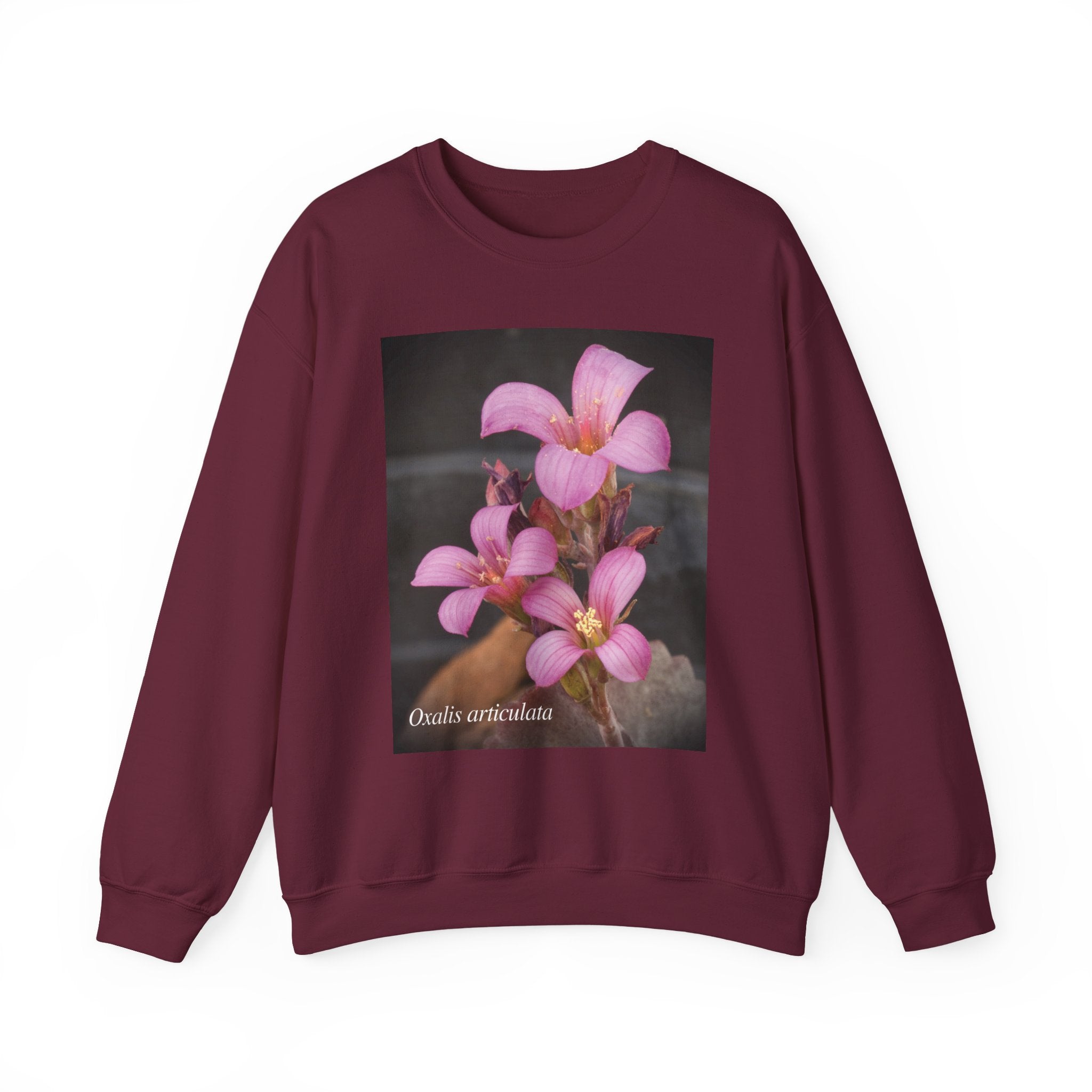Oxalis — The Survivor Blossom, Strenght in Unity Unisex Heavy Blend™ Crewneck Sweatshirt