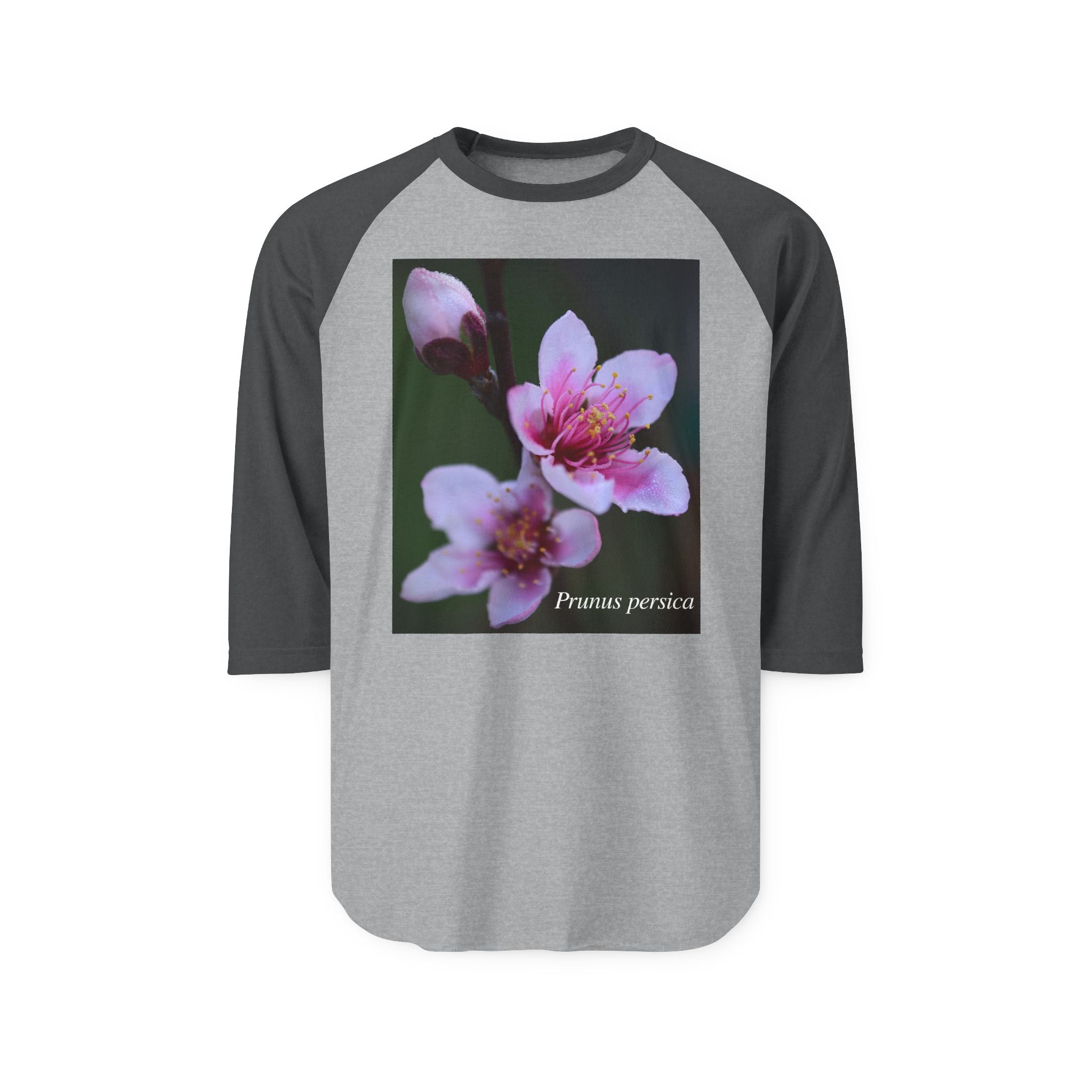 Persica Bloom — Quiet Resilience-Raglan 3/4 sleeves