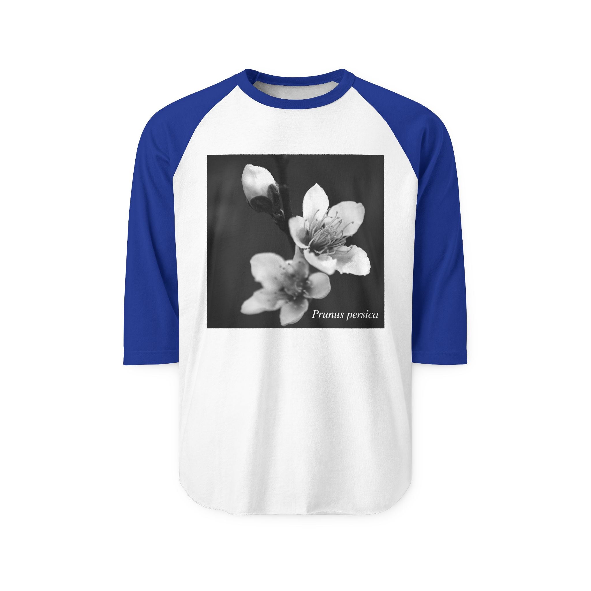 Persica Bloom — Quiet Resilience-Raglan 3/4 sleeves