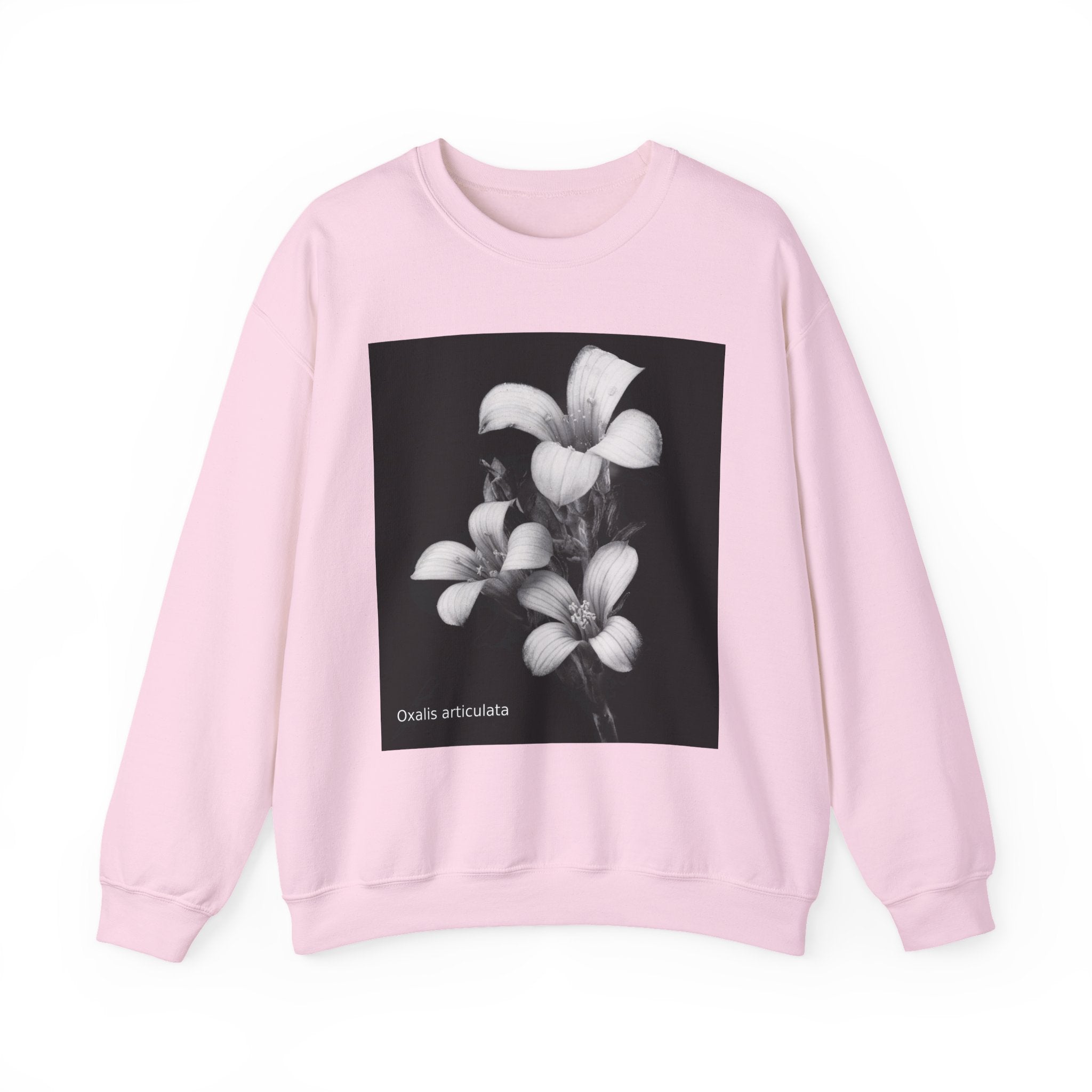 Oxalis — The Survivor Blossom, Strenght in Unity Unisex Heavy Blend™ Crewneck Sweatshirt