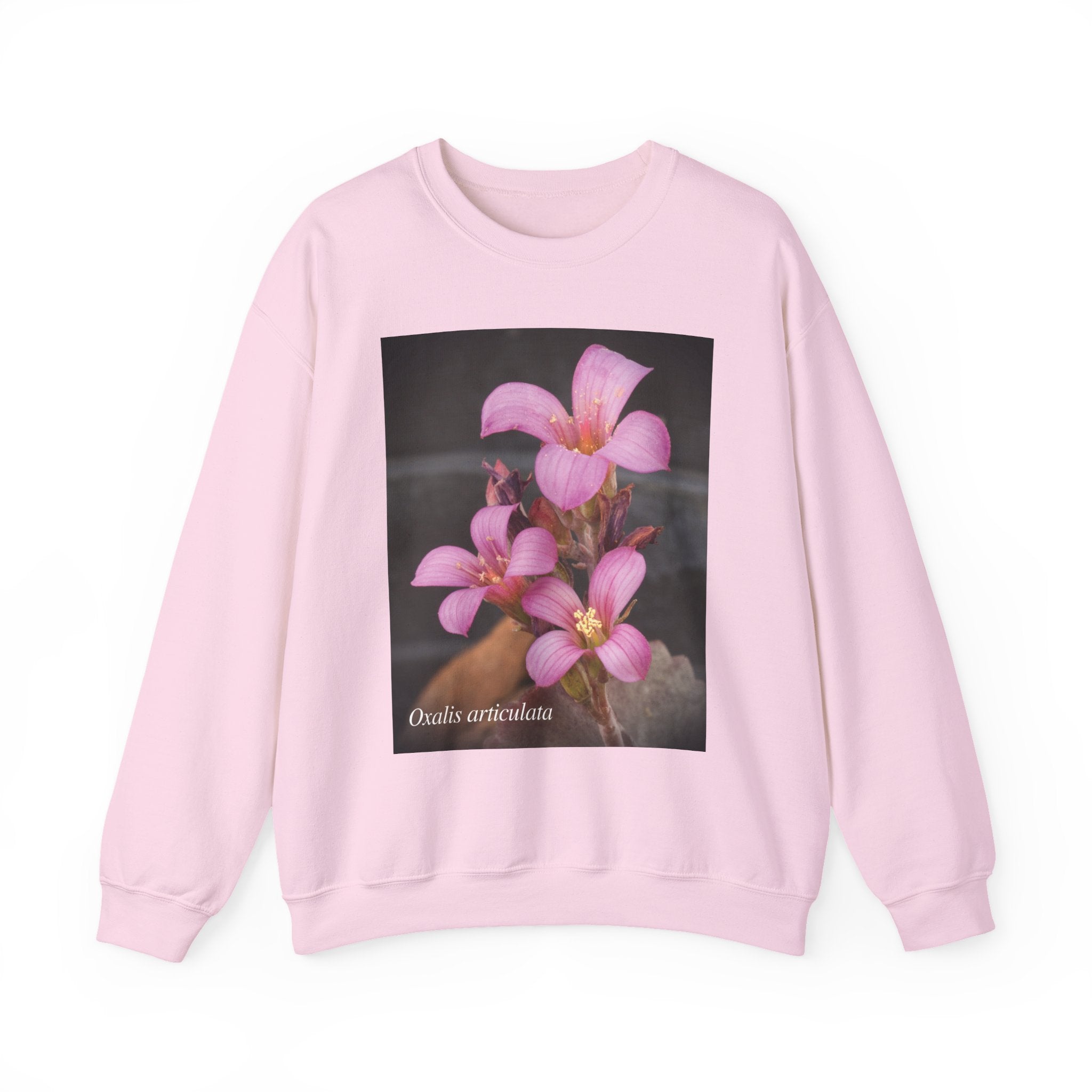 Oxalis — The Survivor Blossom, Strenght in Unity Unisex Heavy Blend™ Crewneck Sweatshirt