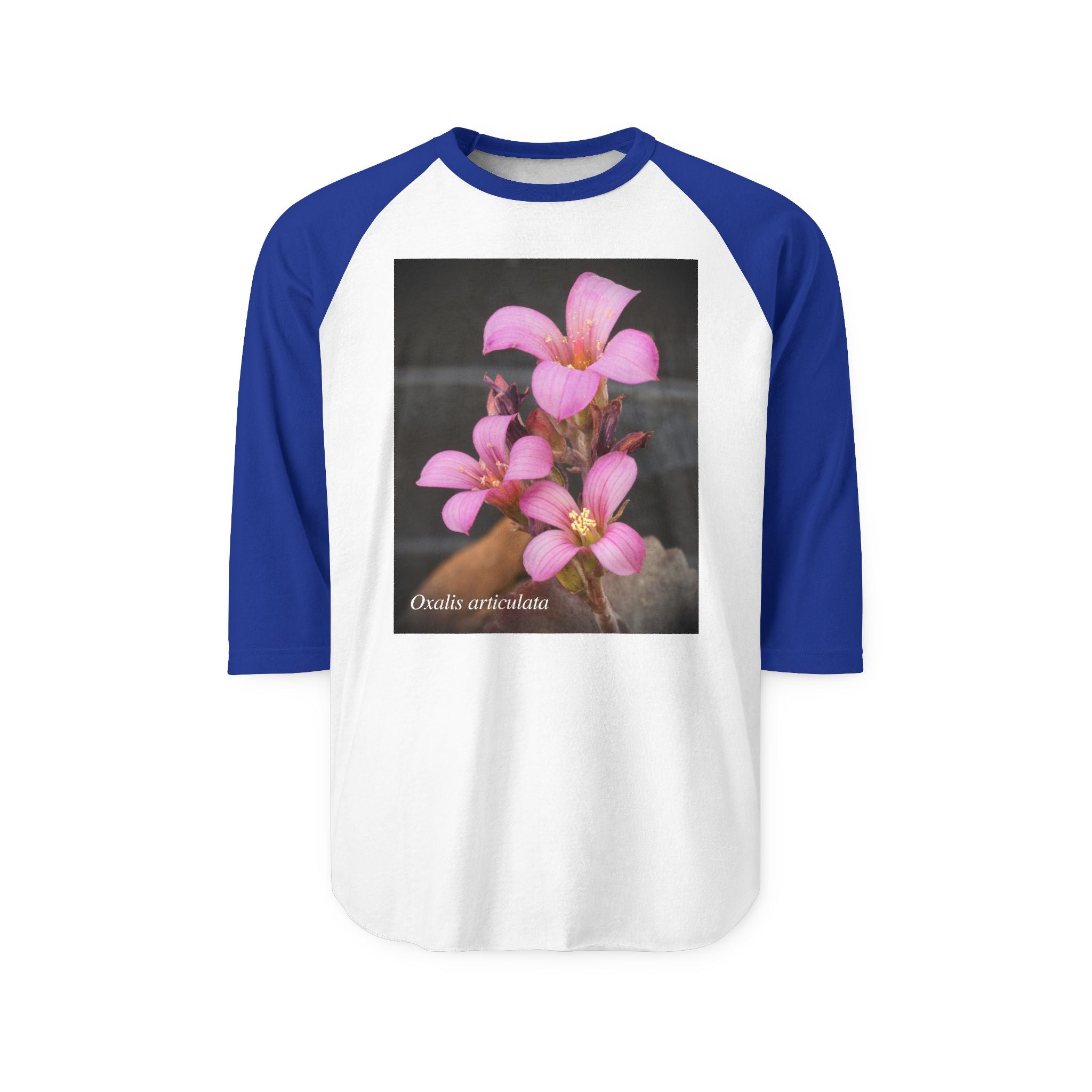 Oxalis — The Survivor Blossom-Raglan 3/4 sleeves