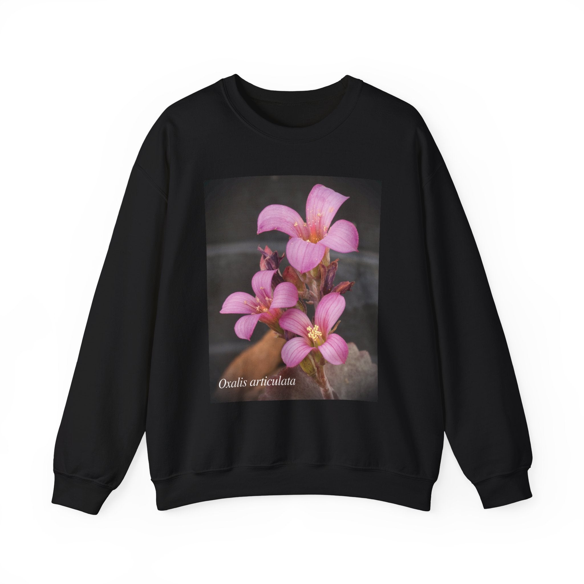 Oxalis — The Survivor Blossom, Strenght in Unity Unisex Heavy Blend™ Crewneck Sweatshirt