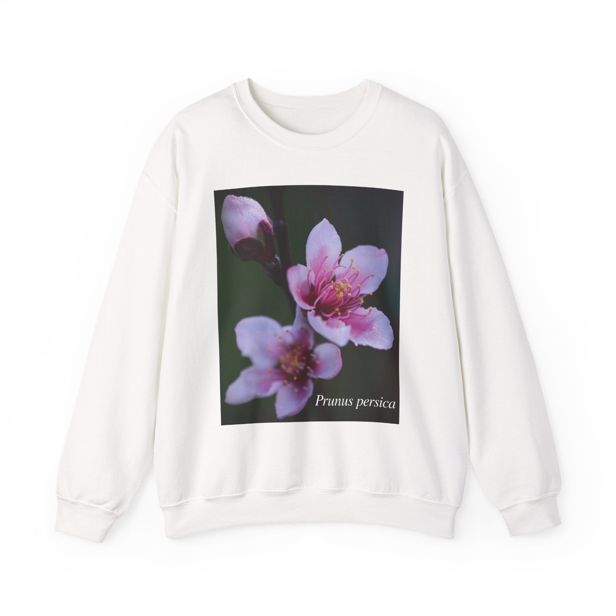 Persica Bloom — Quiet Resilience- Unisex Heavy Blend™ Crewneck Sweatshirt