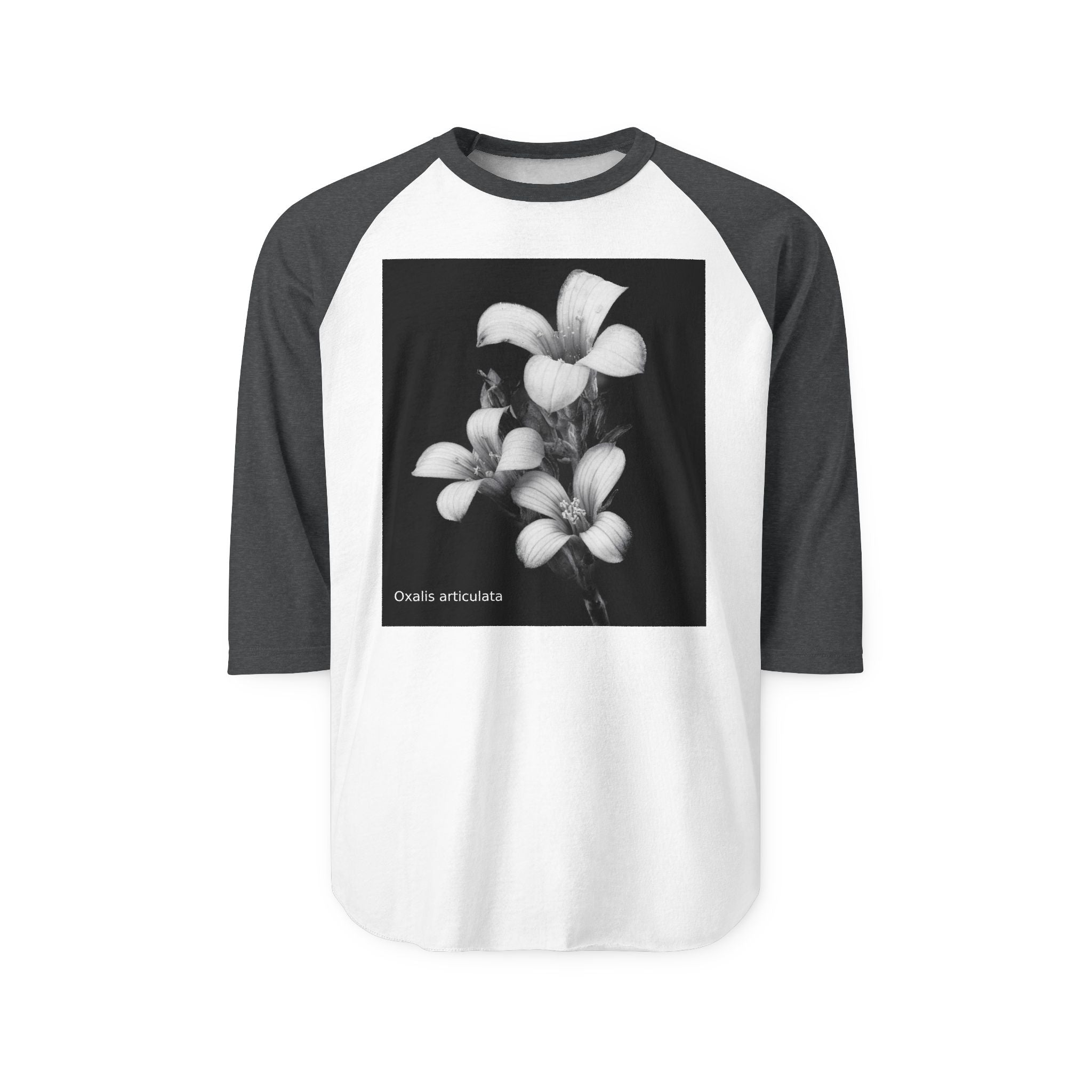Oxalis — The Survivor Blossom-Raglan 3/4 sleeves