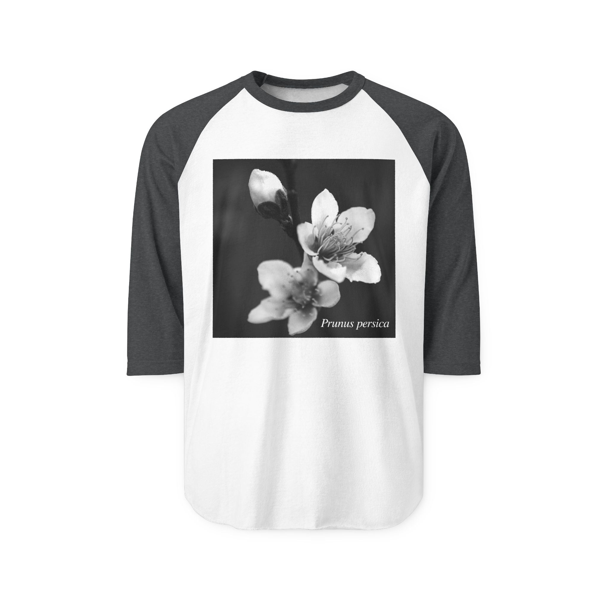 Persica Bloom — Quiet Resilience-Raglan 3/4 sleeves