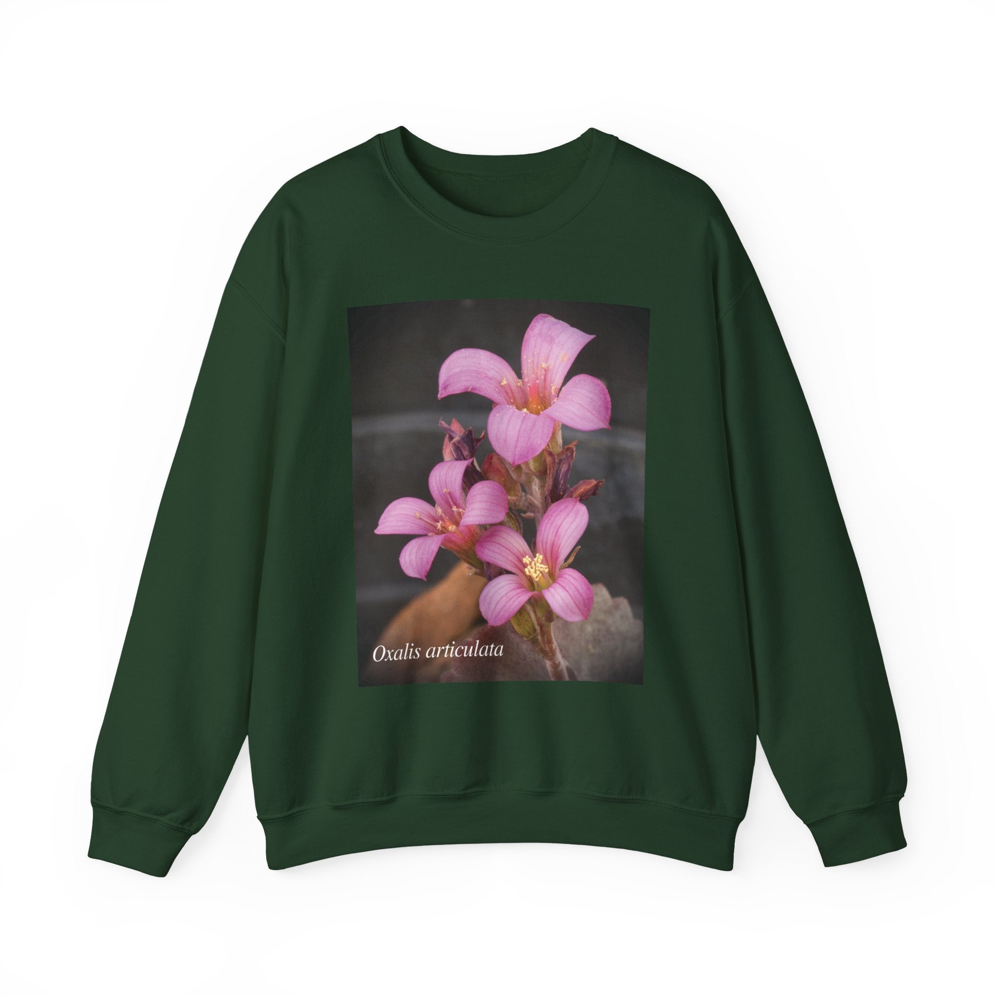 Oxalis — The Survivor Blossom, Strenght in Unity Unisex Heavy Blend™ Crewneck Sweatshirt