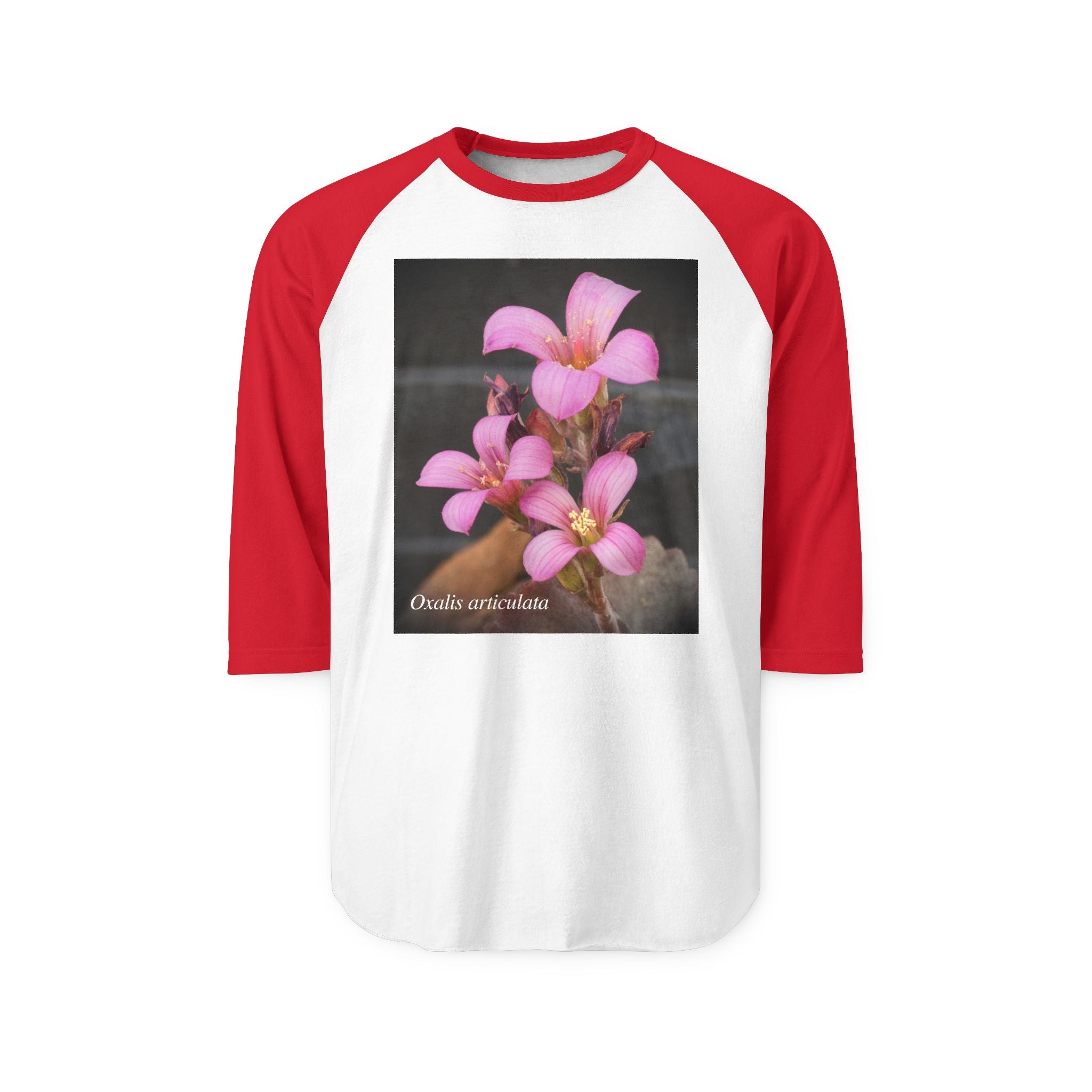 Oxalis — The Survivor Blossom-Raglan 3/4 sleeves