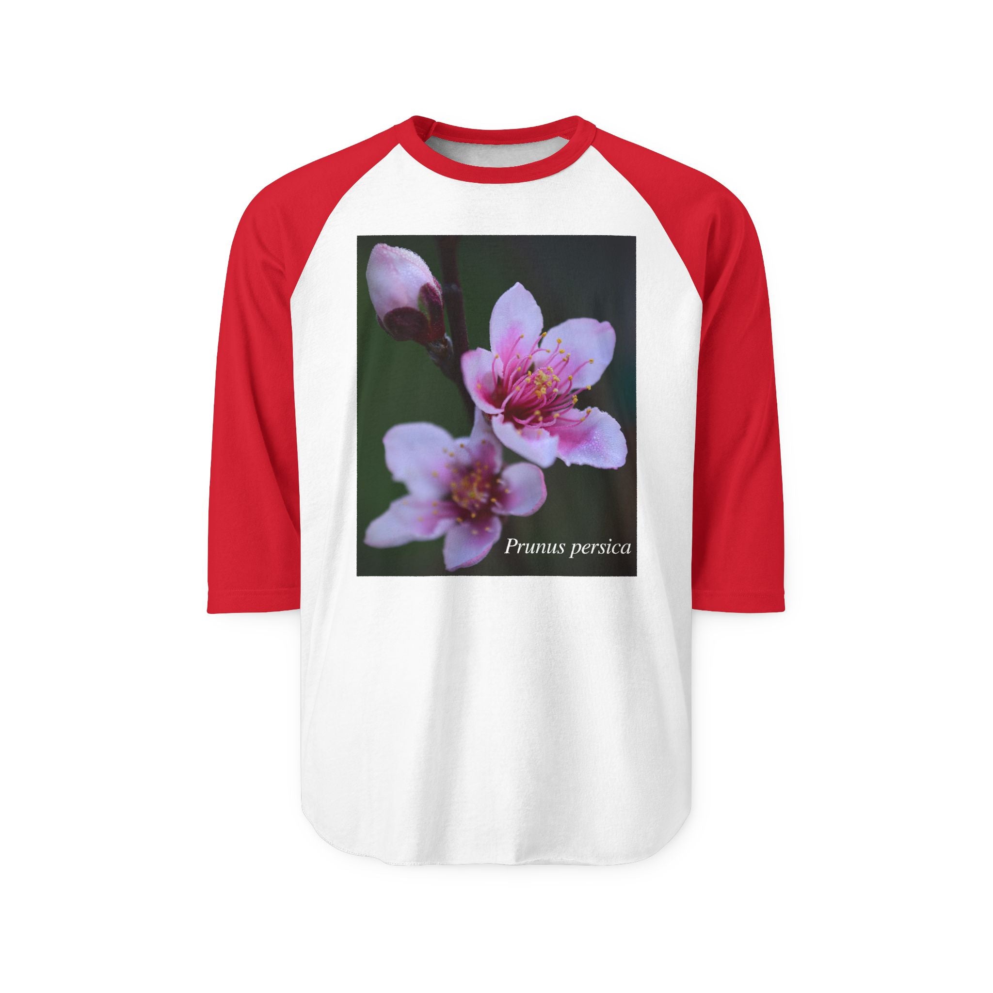 Persica Bloom — Quiet Resilience-Raglan 3/4 sleeves