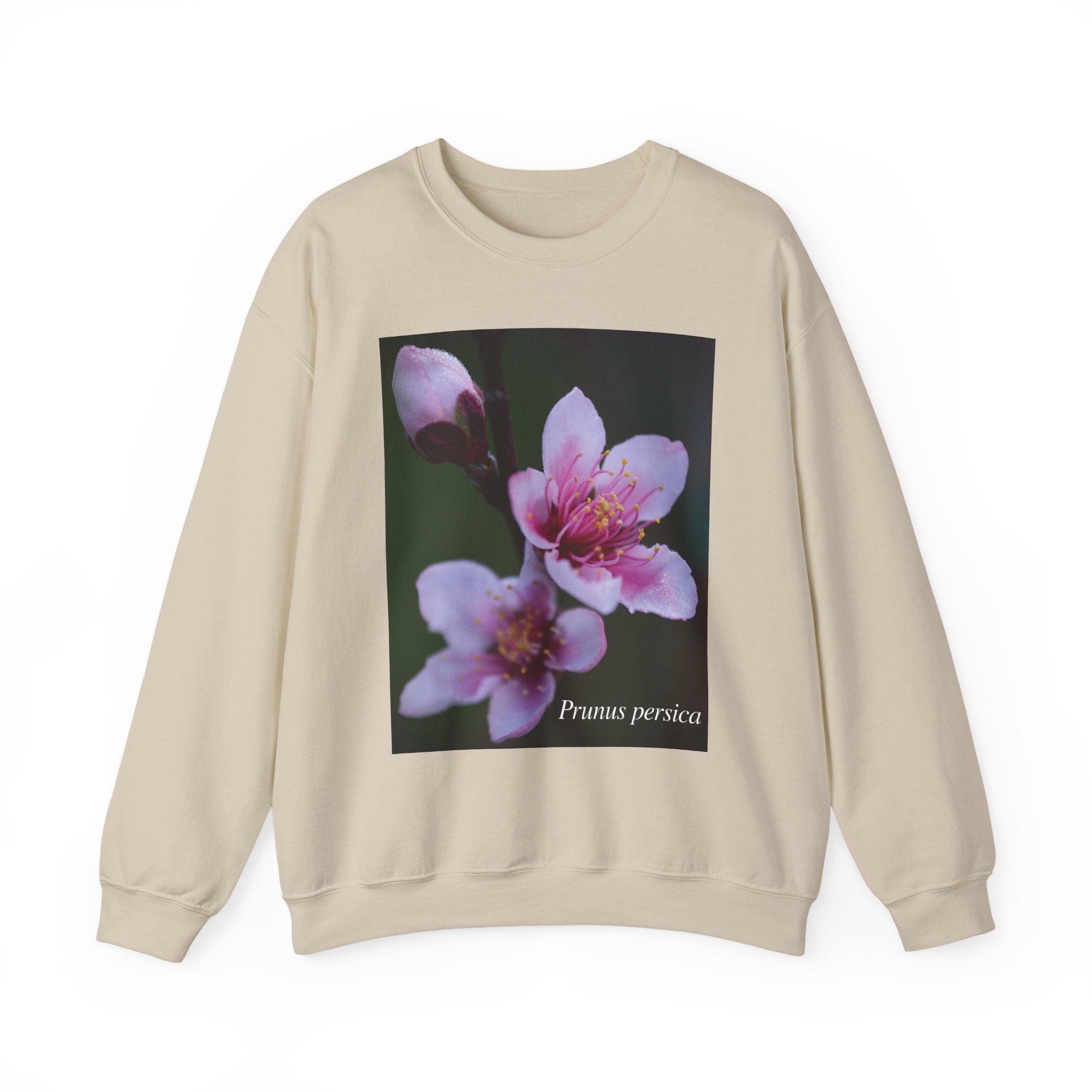 Persica Bloom — Quiet Resilience- Unisex Heavy Blend™ Crewneck Sweatshirt