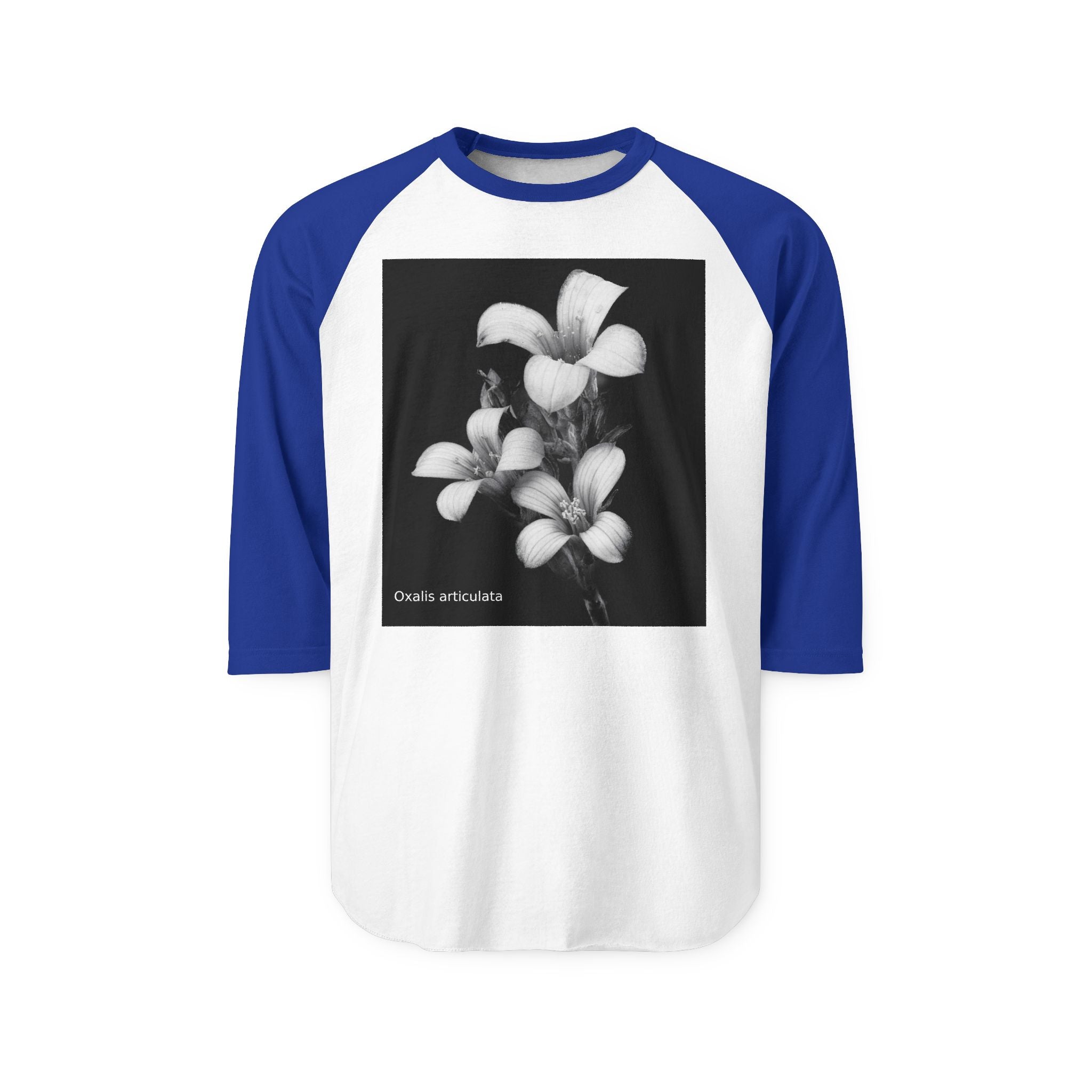Oxalis — The Survivor Blossom-Raglan 3/4 sleeves