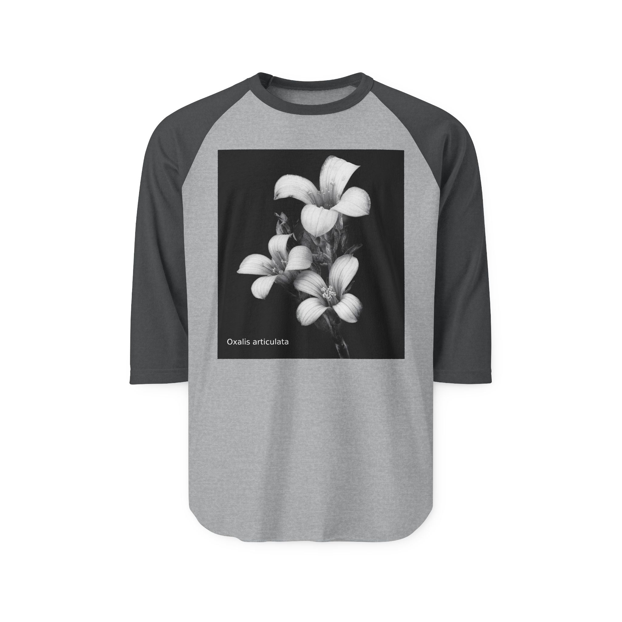 Oxalis — The Survivor Blossom-Raglan 3/4 sleeves