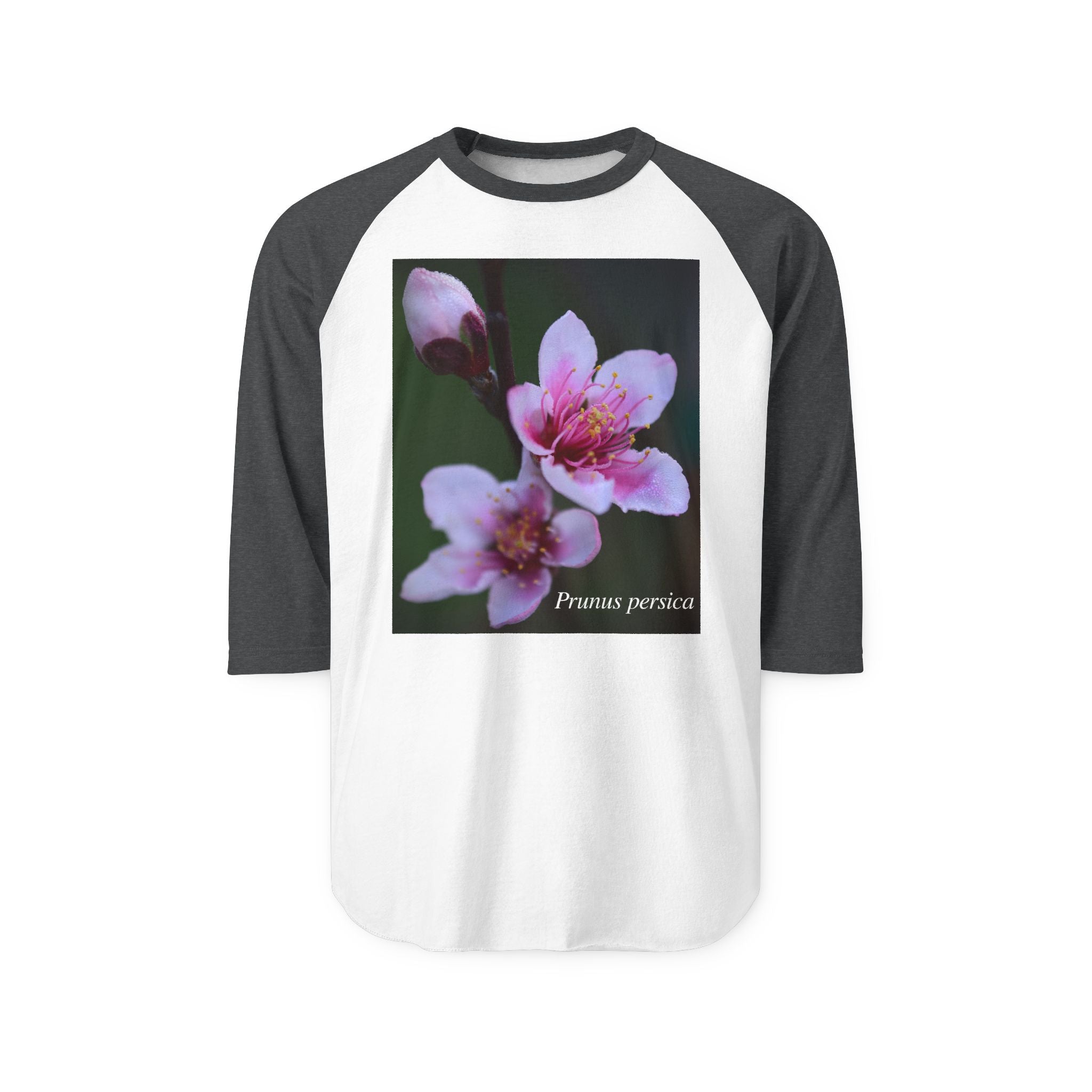 Persica Bloom — Quiet Resilience-Raglan 3/4 sleeves
