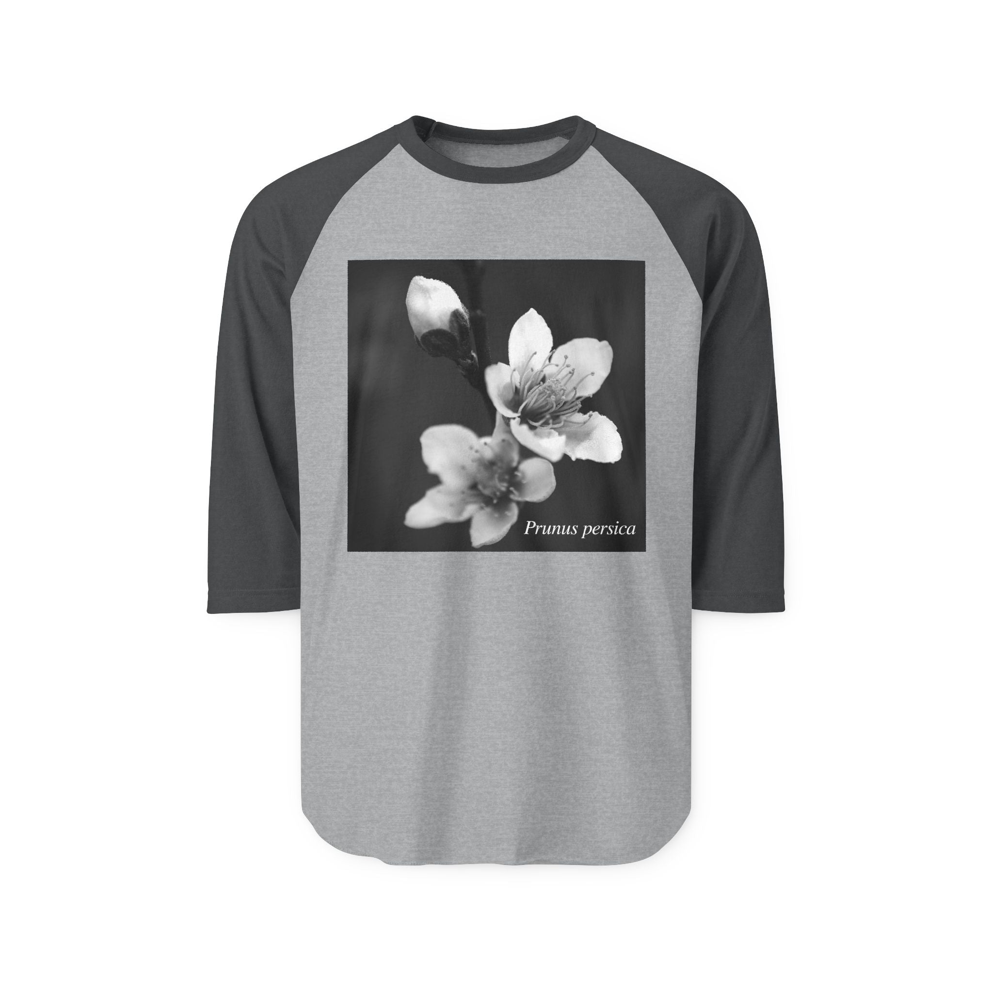 Persica Bloom — Quiet Resilience-Raglan 3/4 sleeves