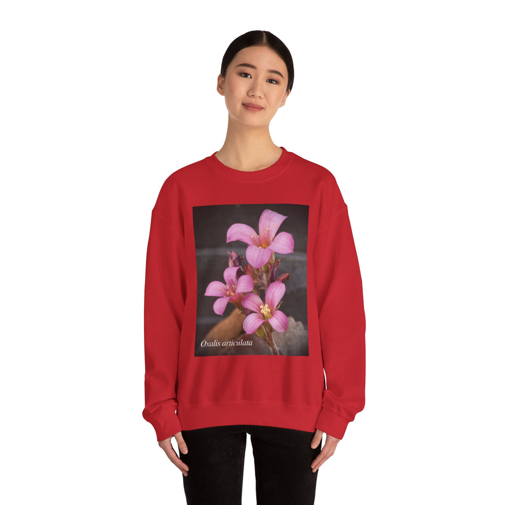 Oxalis — The Survivor Blossom, Strenght in Unity Unisex Heavy Blend™ Crewneck Sweatshirt