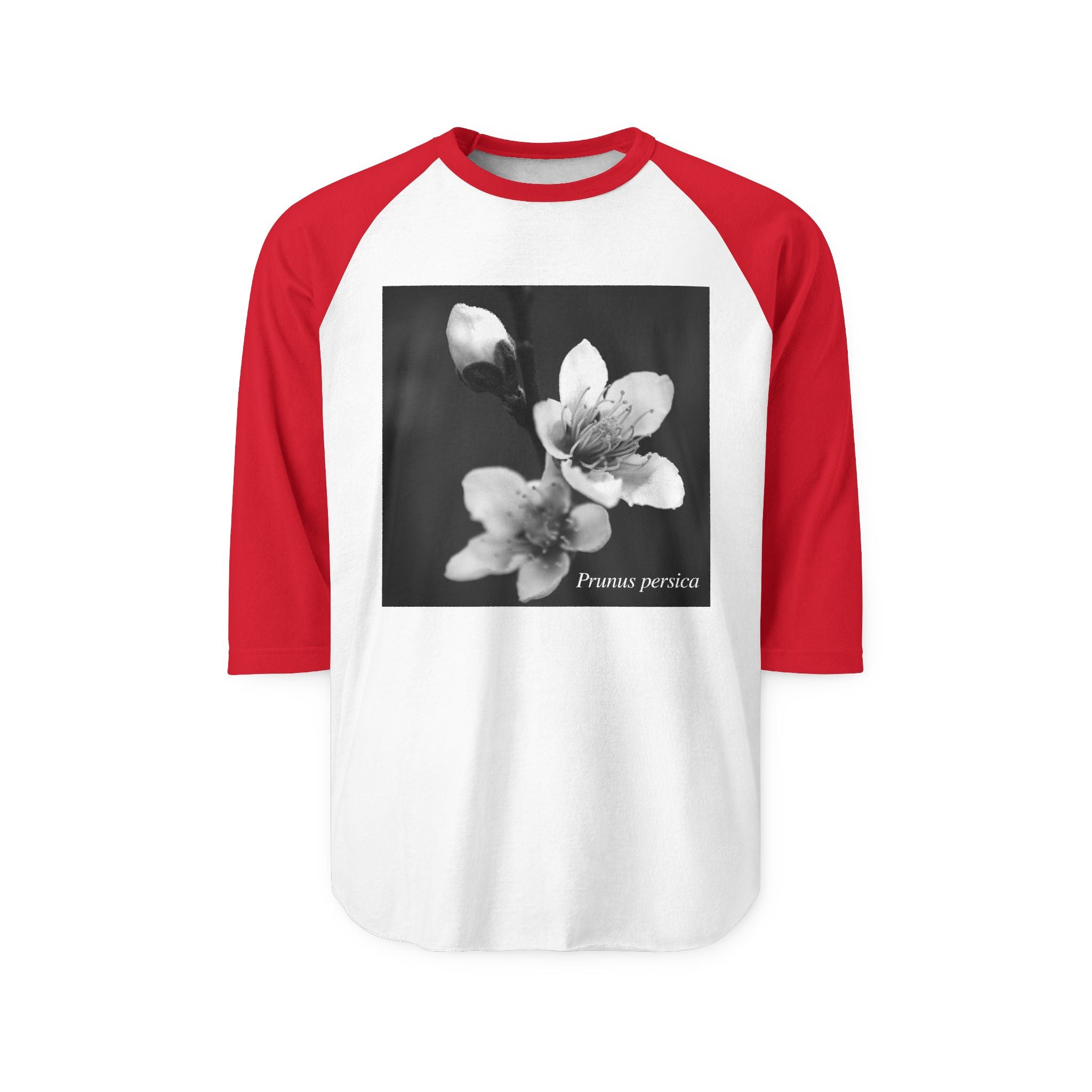Persica Bloom — Quiet Resilience-Raglan 3/4 sleeves